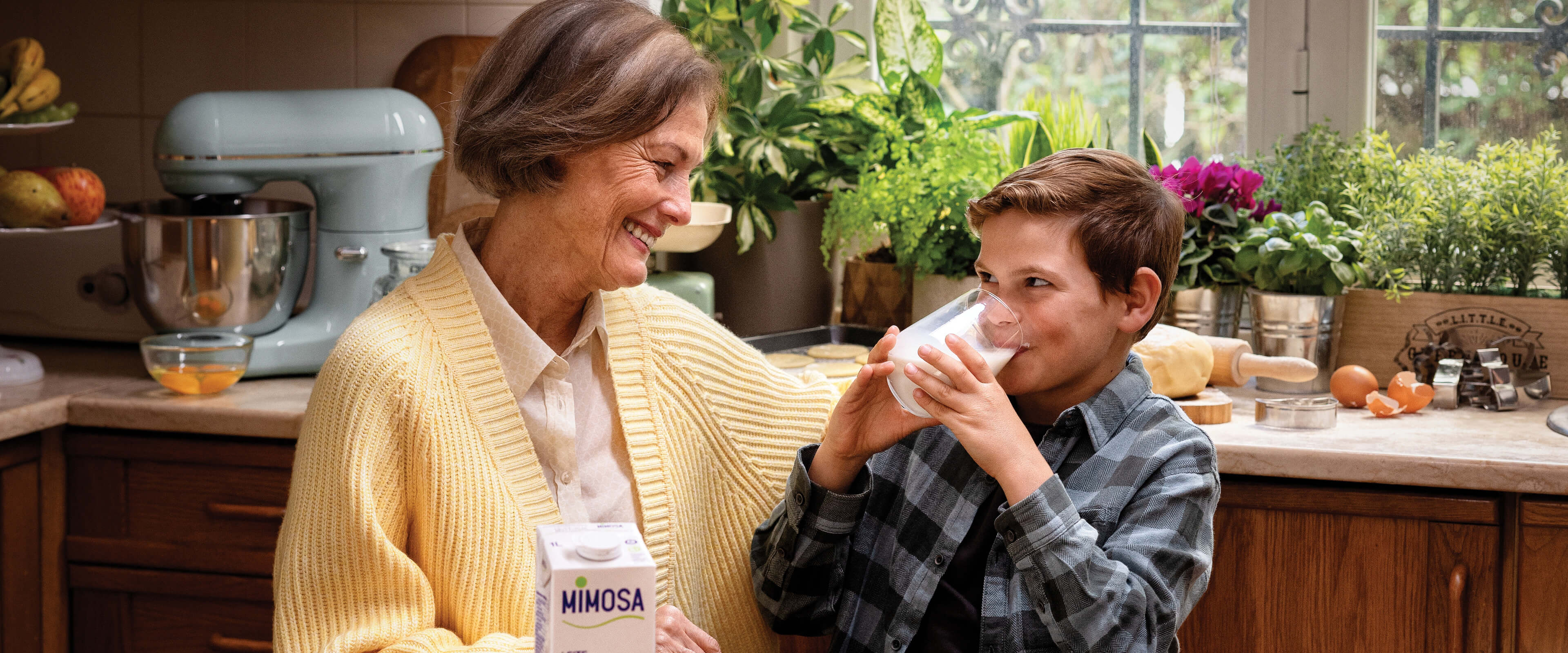 header-image desktop 2